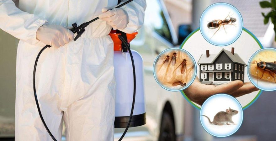 Kazan Böcek İlaçlama