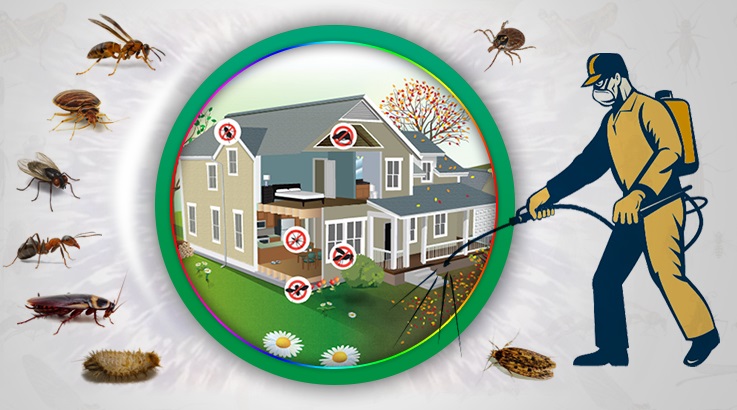 Kazan Böcek İlaçlama