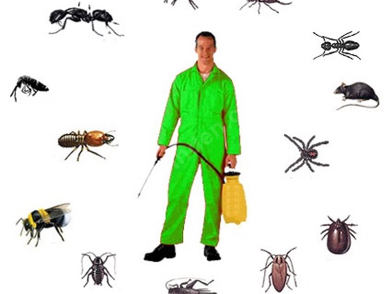 Kazan Böcek İlaçlama